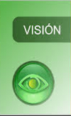 Vision_7754.png