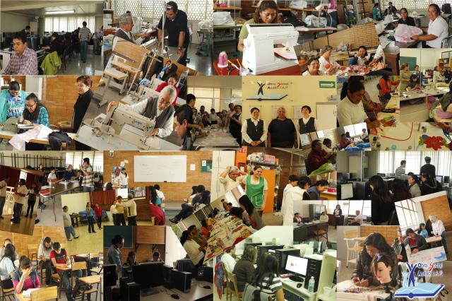 osa_collage_2.jpg